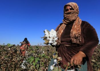 Can Syrian Agriculture Reclaim Its Former Strength?
