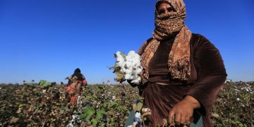 Can Syrian Agriculture Reclaim Its Former Strength?