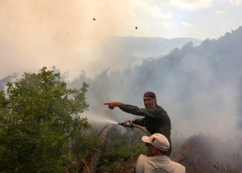 Syria’s Coastal Regions Battle 20 Simultaneous Wildfires Amid Harsh Conditions