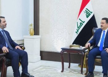 Syria and Iraq: Towards a New Partnership or Ongoing Tension?