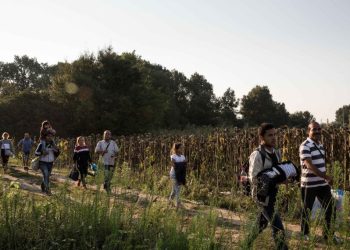 Germany Moves to Revoke Protection for 734 Syrian Refugees