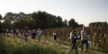 Germany Moves to Revoke Protection for 734 Syrian Refugees