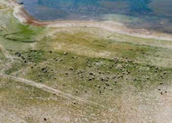 The Euphrates is Drying Up: A Worsening Environmental and Economic Crisis Endangers Millions