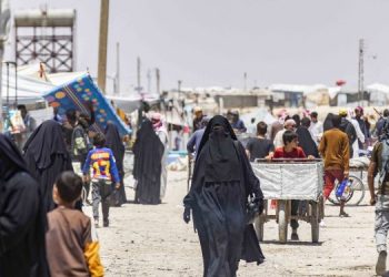 Kurdish-Led Administration, Syrian Gov’t to Relocate Families from ISIS-Linked al-Hol Camp