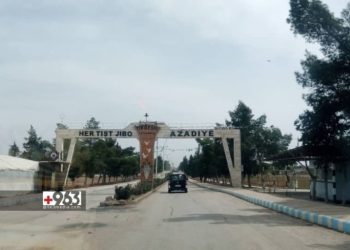 Autonomous Administration Launches Distribution of Pre-Regime Fall Passports in Qamishli 