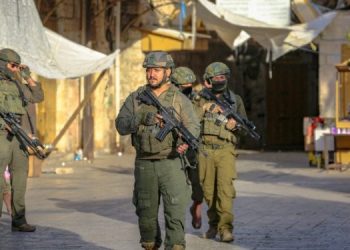 Israeli Army Detains Two Youths in Southern Syria