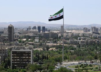German Foreign Ministry: We Support the Syrian People in Rebuilding Their Country
