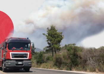 Wildfires in Syria’s Coastal Region; Can They Be Prevented?