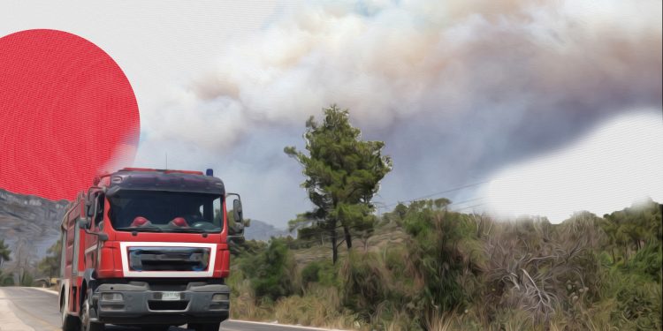 Wildfires in Syria’s Coastal Region; Can They Be Prevented?