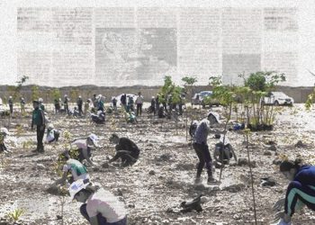 Civil Environmental Action in Syria: Rebuilding Beyond War