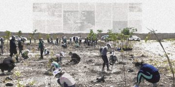 Civil Environmental Action in Syria: Rebuilding Beyond War