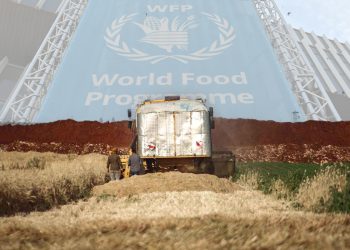 Syria’s New Agricultural Agreement: Between Promises and the Challenge of Self-Sufficiency