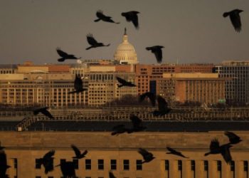 Washington Allocates $130 Million to Support SDF and Free Syrian Army