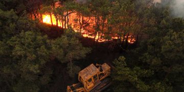 Wildfires Spread in Latakia as Syria Calls in Turkish Firefighting Teams