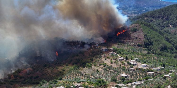 Latakia Fires Continue as Turkey, Jordan Join Response