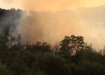 EU Activates Copernicus as Latakia Wildfires Burn for Eighth Day