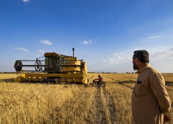 Syria, WFP Sign Deal to Aid 33,000 Farmers Hit by Drought