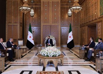 Al-Sharaa Meets Turkish Foreign Minister in Damascus