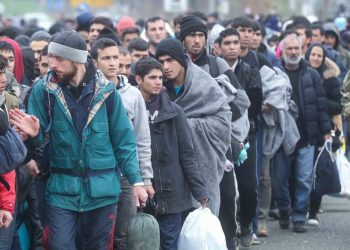 Syrian Asylum Applications in Europe Drop by 23%