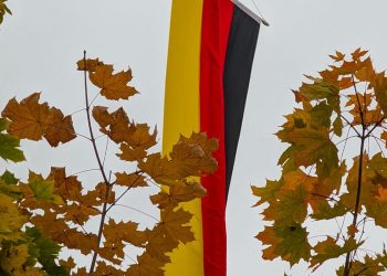 Germany to Revoke Asylum for Syrians Returning Home, Plans Case Reviews