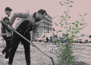 Zabadani Begins Reforestation Drive After War-Time Environmental Destruction