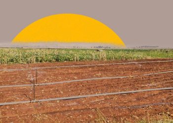 Idlib: A Green Season on Diseased Soil
