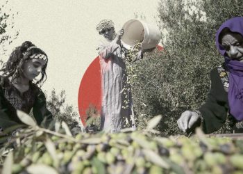 An Unprecedentedly Poor Olive Harvest in Daraa, Southern Syria