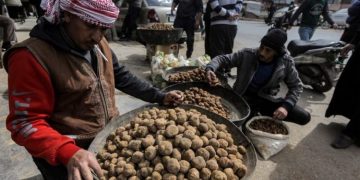 ‘‘الكمأة’’ تقتل 10 سوريين شمال البلاد