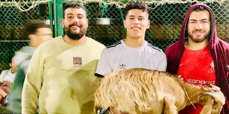 في مصر.. جائزة أفضل لاعب هي “خروف”