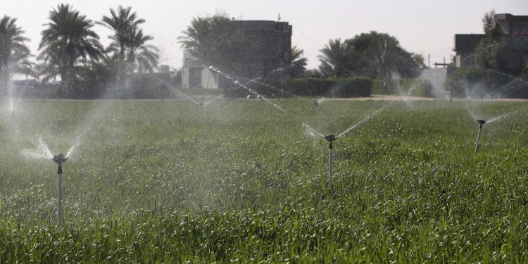 طرق الري الحديثة تنعش أراضي المزارعين في العراق وسط الجفاف