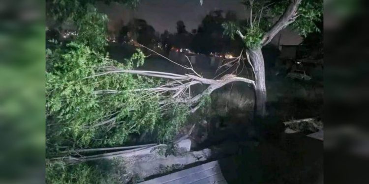 وفاة شاب وأضرار مادية جراء عاصفة هوائية شديدة في دمشق
