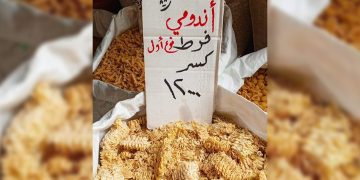 وجبات “إندومي” غير صالحة للاستهلاك في سوريا.. من المستفيد؟