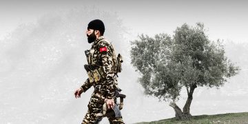 تصحير متعمد: “حطّابون” مسلحون يجردون عفرين من أحراجها