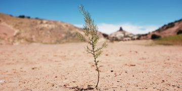 بسبب الحرارة في أميركا.. الملايين تحت حالة الطوارئ