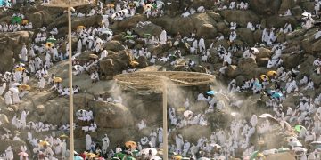 أشجار عرفات لحماية الحجاج.. ما قصتها؟