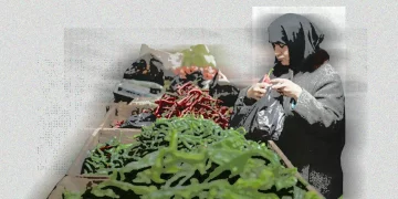 دولار وأسعار وتجار: السوريون بلا “خبزة” ولا “زيتونة”!