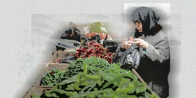 دولار وأسعار وتجار: السوريون بلا “خبزة” ولا “زيتونة”!