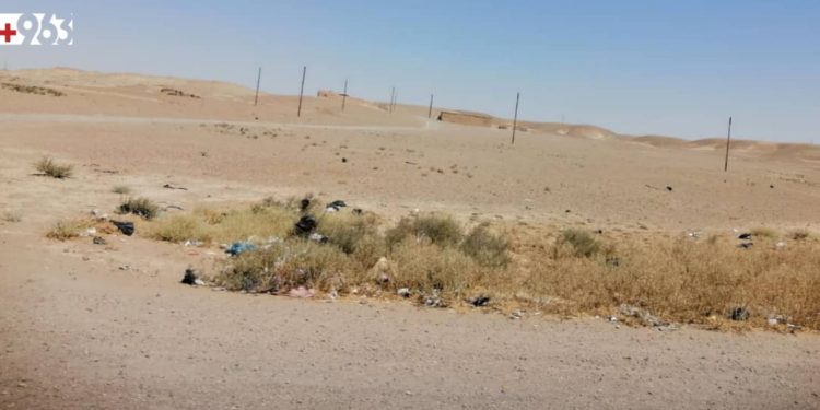 مقتل عنصرين من القوات الحكومية السورية بهجوم لـ”داعش” بالبادية