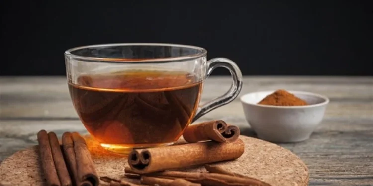 فوائد عديدة.. أطباء ينصحون بخلط القرفة والهندباء البرية