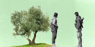 “لعنة الزيتون” في عفرين: إتاوات عشوائية ونهب منظم