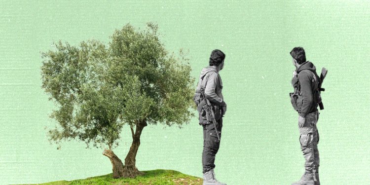 “لعنة الزيتون” في عفرين: إتاوات عشوائية ونهب منظم