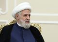 الأمين العام لحزب الله نعيم قاسم في طهران، إيران في 29 يوليو 2024. (أ ف ب).