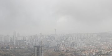 الثلوج تجمّد حصاناً وسط الشارع في تركيا