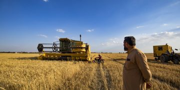 الحكومة السورية المؤقتة تتجه لرفع الدعم عن مادة الخبز