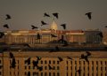 مرتبط بـ”القاعدة”… البنتاغون يستهدف قيادياً بارزاً في “حراس الدين”
