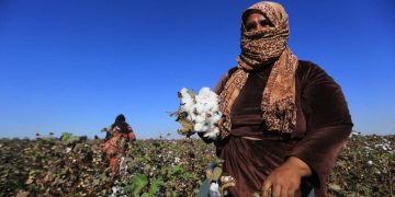 الزراعة في سوريا: كيف تستعيد مجدها؟