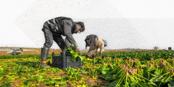 وسط غياب التعافي الاقتصادي.. بماذا يستثمر السوريون؟