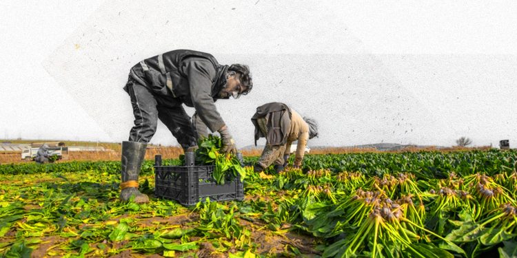 وسط غياب التعافي الاقتصادي.. بماذا يستثمر السوريون؟