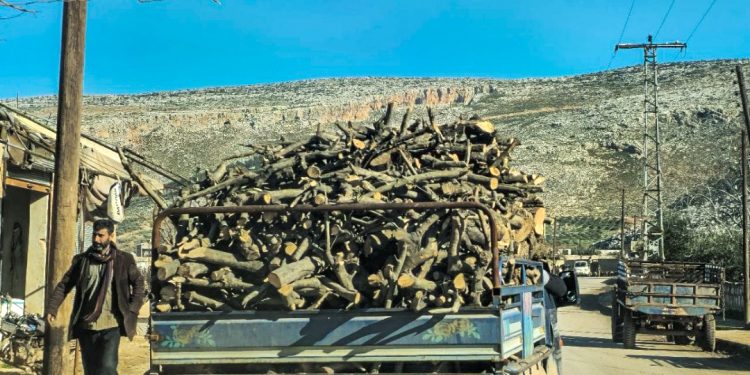 أشجار وأراضٍ بشمال سوريا في مهب الريح
