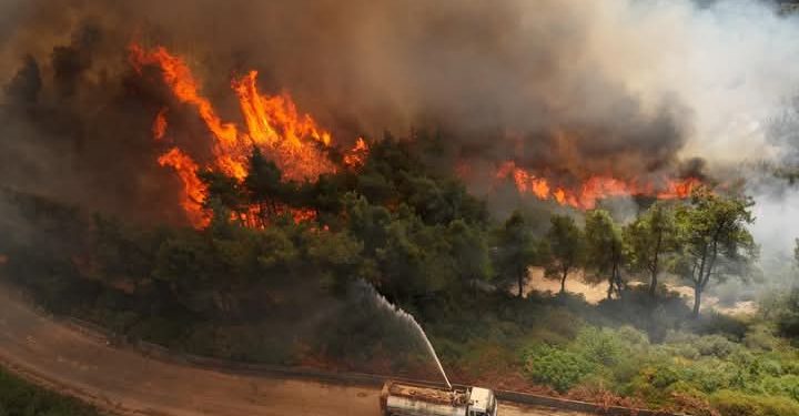 الدفاع المدني: توسع حرائق الغابات غربي سوريا إلى مناطق جديدة